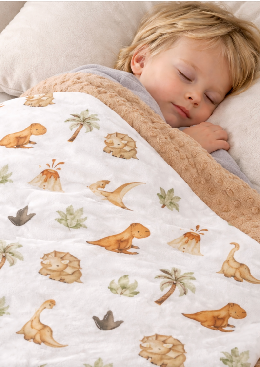 Dino Dream Minky Blanket